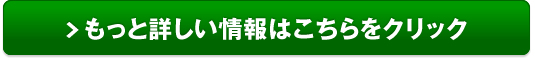 サクっと！ちょいカリ キャッシング申込販売サイトへ
